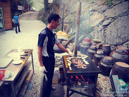 벽송산장