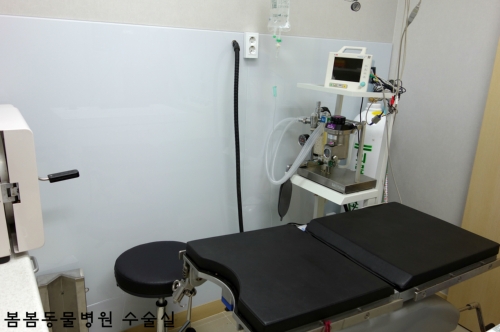 봄봄동물병원 대표 이미지