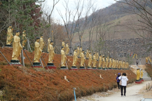 대풍관광여행사