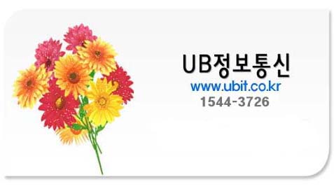 유비정보