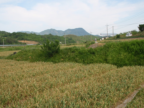 우리농장