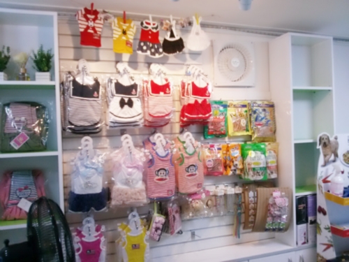 행복하개 대표 이미지