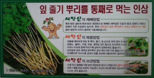 삼무루지새싹삼윤희네농장