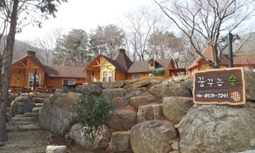 꿈꾸는숲펜션