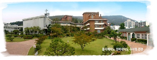 성분도치과병원 대표 이미지
