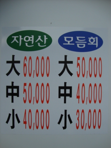 자연산독도횟집