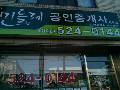 민들레Ⅱ