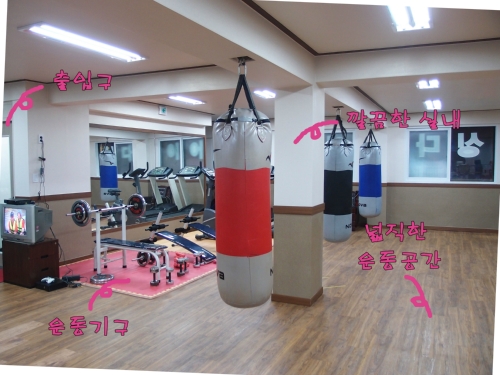 경기도 양평군 양평읍 복싱체육관 양평복싱체육관 내부 모습 5