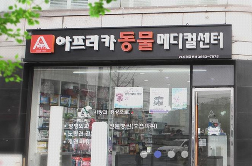 24시아프리카동물메디컬센터