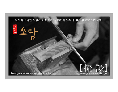 소담빗
