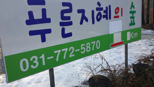 푸른지혜의 숲