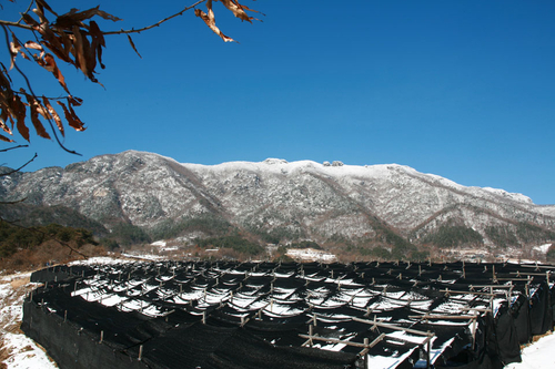 산골마을