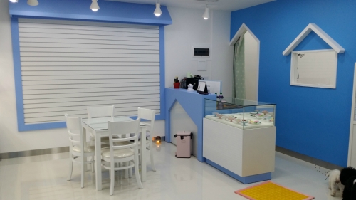 즐겨찾개 대표 이미지