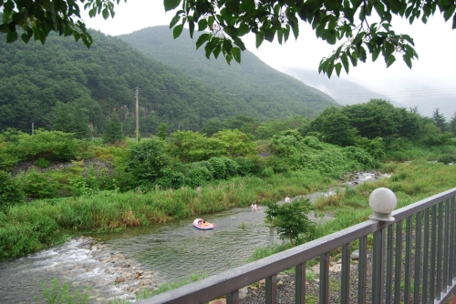 캐빈