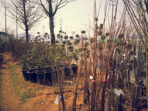 남동조경건설