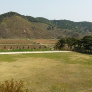 밀파실캠핑장