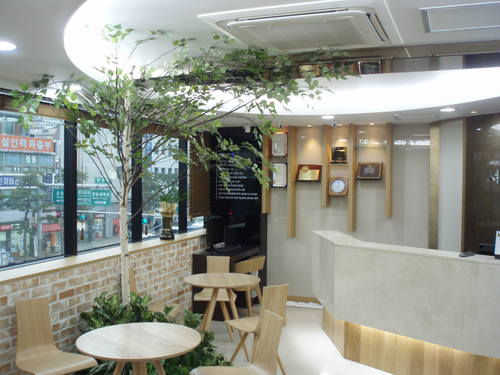 서울힐치과 원장님 진료