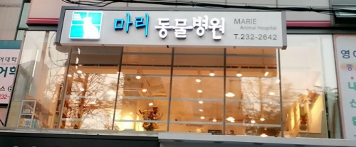 마리동물병원