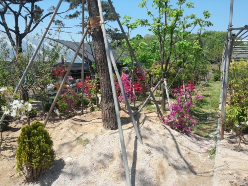 봉림조경