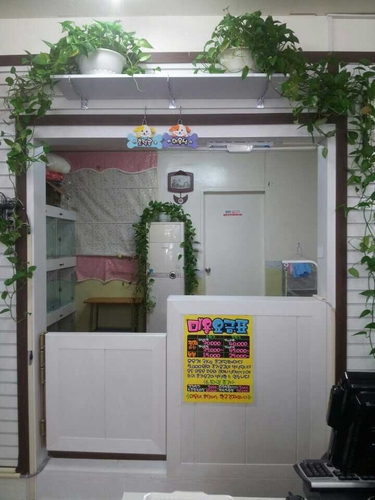 코코애견 대표 이미지