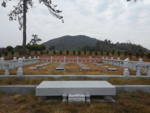 하늘천상조