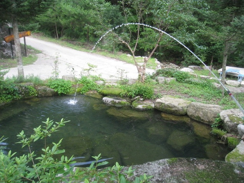 토산장민박