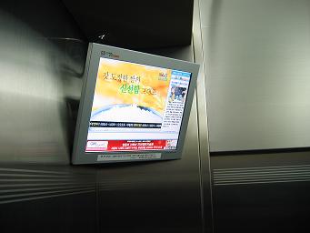 Elriaedeu (엘리애드)