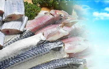 제주수산몰