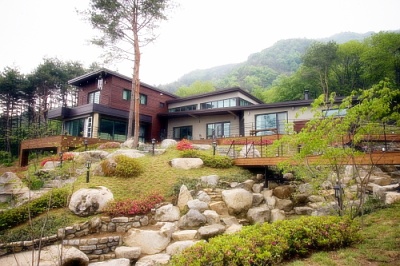 푸른지혜의 숲
