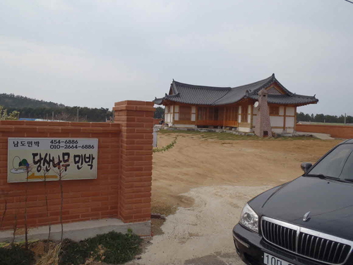 당산나무