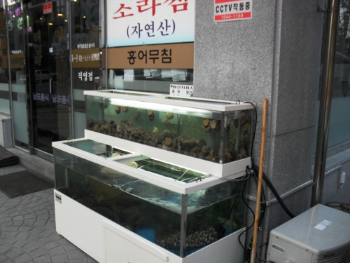 제일정해물탕