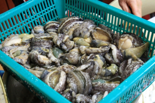청산도 들꽃민박