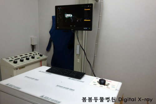 봄봄동물병원 대표 이미지