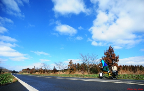 페럴캣 바이시클 대표 이미지