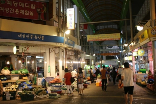 두부박사