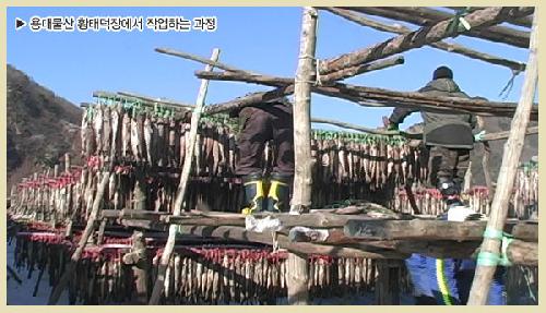 용대물산황태덕장