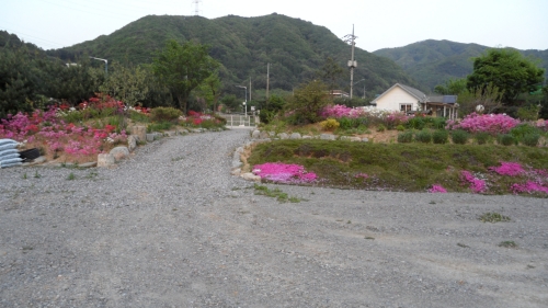 유명산 들꽃여울 캠핑장