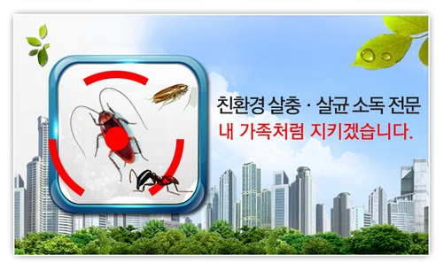 로취버스터즈 안동지사