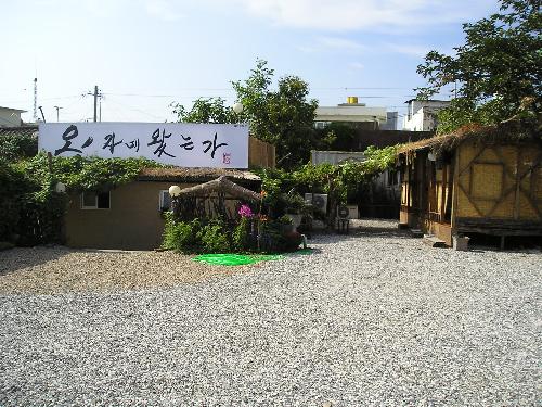 오자네왔는가