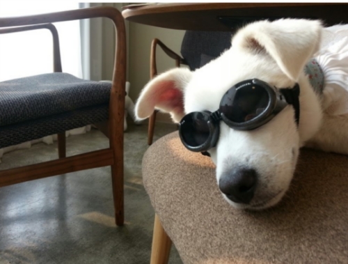 오뉴월 펜션 대표 이미지