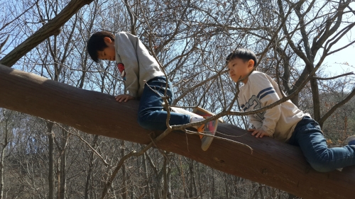 산소리숲마을