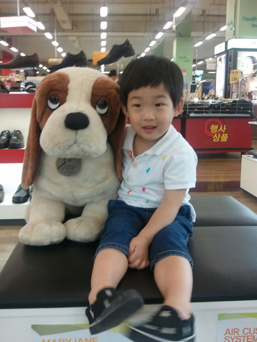 허시파피 유성홈플러스점