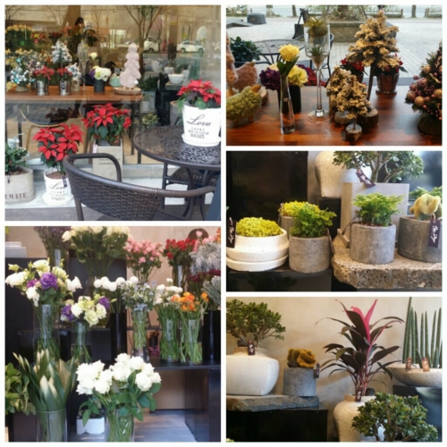 the그루 대표 이미지