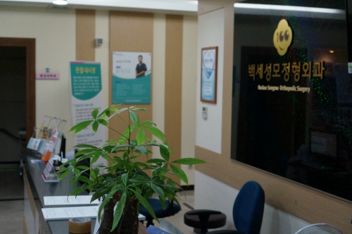 백세성모정형외과의원