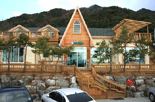 커피숲