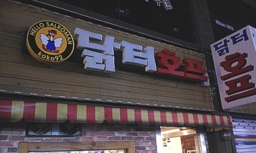 닭터호프