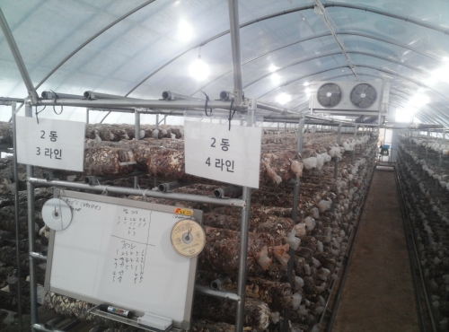 맑은세상