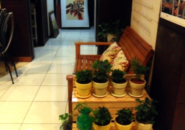 금단비가 대구중구점 대표 이미지