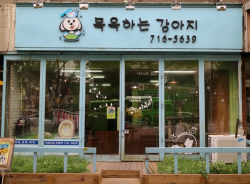 목욕하는 강아지 대표 이미지