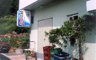 일신민박